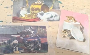 Victorian Cats And Kittens LOT OF 3 ANTIQUE VINTAGE POSTCARDS 1905 - Picture 1 of 8