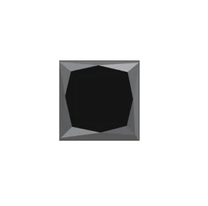 Natural Extra Fine Black Diamond - Square Princess - AAA+ Grade - Africa - Picture 1 of 1