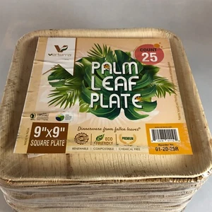 Verterra Palm Leaf Plates 9" x 9" 25ct Compostable Disposable Eco Friendly - Picture 1 of 7