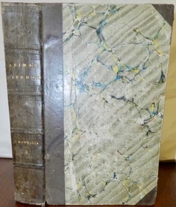 1827 Cuvier / Griffith: Klasse Säugetiere: Wiederkäuer. 52 wunderbare Teller. UK 1stEd - Bild 1 von 13
