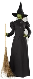 Halloween Adult Classic 4 PC WITCH COSTUME DELUXE FULL BLACK DRESS & HAT XLarge - Picture 1 of 1