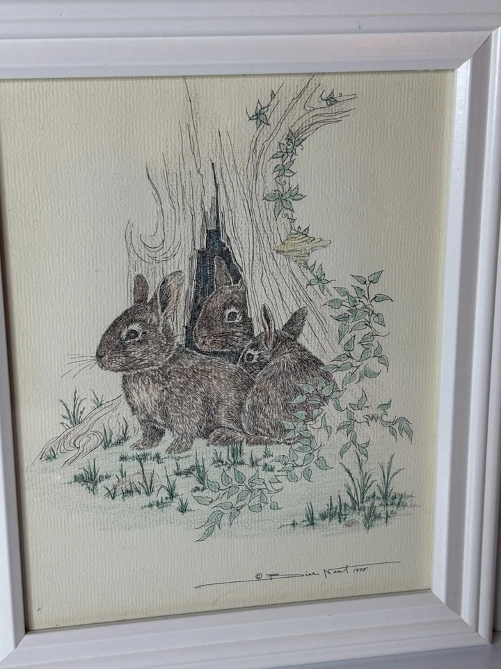 De colección Años 70 Bill Arte Limpio Conejito Boceto Tinta Dibujo Conejos Conejos Enmarcado 8x10 Foto 1 de 4