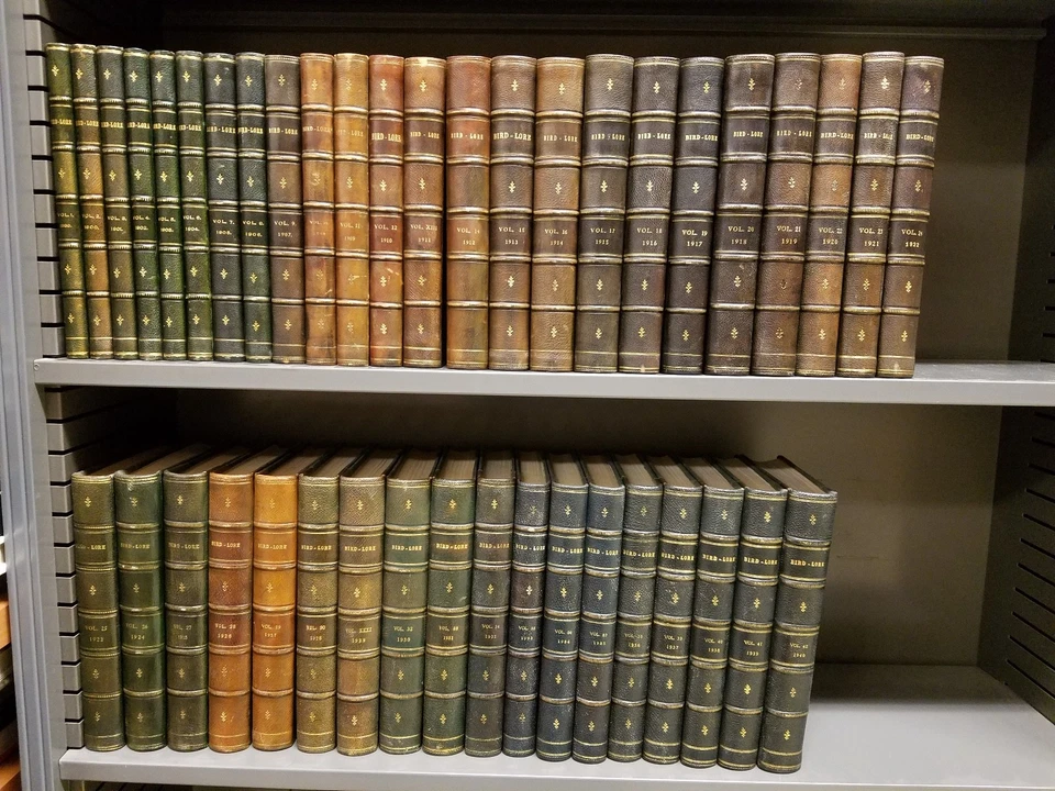 Bird-Lore 1899-1940 Complete Run 42 Vols Moroccan Fine-Binding Audubon Society - Image 1 of 4