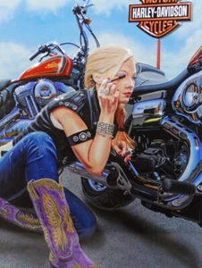 Ritocchi finali motociclista Harley Davidson moto segno metallico - Foto 1 di 1