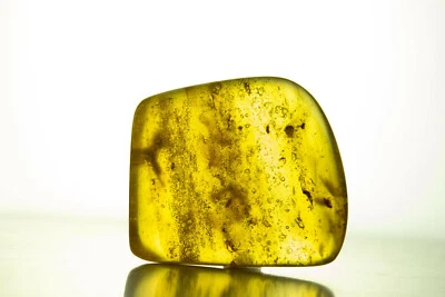 ORO COPAL COLOMBIANO MUCHOS insectos y bonitas alas Foto 1 de 3