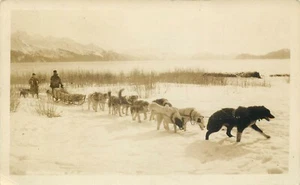 ALASKA DOG SLED TRANSPORTING US MAIL OLD REAL PHOTO POSTCARD VIEW - Picture 1 of 3