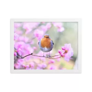Spring robin - framed picture 30x40cm - Picture 1 of 3
