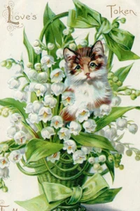 1908 Loves Token Cat Basket Lily of the Valley Raphael Truck Postal de San Valentín - Imagen 1 de 3