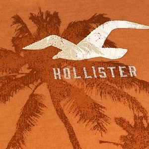 Hollister Single Stitch T Shirt Size Large Orange Embroidered Logo Palm Trees - Picture 1 of 11