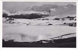 ALPE DI SIUSI - BOLZANO - CATINACCIO - ROSENGARTEN -84262- - Picture 1 of 1