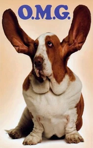 Funny BIRTHDAY Card, OMG Basset Hound Dog Ears by Stockwell Greetings + Envelope