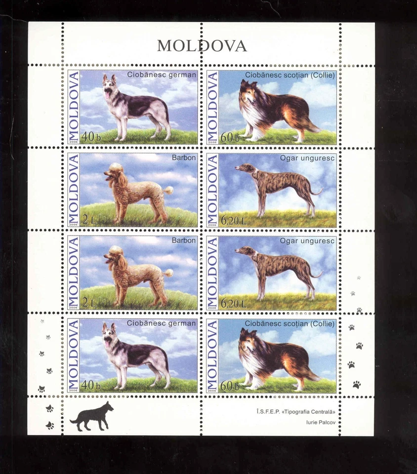 Hoja para perros Moldavia 2006**MNH Foto 1 de 1