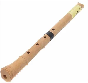 Shakuhachi resin plastic 21.3in pipe key D Japanese vertical flute for beginners - Picture 1 of 5