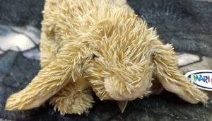 Vtg Plush Bunny Mary Meyer Lop Ear rabbit Floppy Brown Fuzzy Easter gift tag - Picture 1 of 4