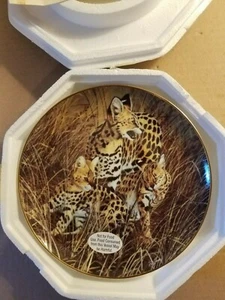 All Ears von RS Finney Sammelteller - The Endangered Kingdom Serie - Bild 1 von 3