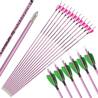 31'' Archery Pure Carbon Arrow Spine 400-1000 2'' Heart Natural Feather Shooting - Image 1 of 4