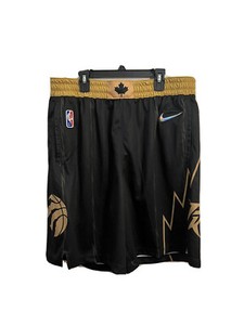 Men Toronto Raptors NBA Shorts for sale 