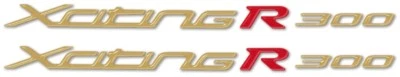 2 ADESIVI in GEL 3D COPPIA SCRITTE XCITING R 300 compatibili per Scooter KYMCO