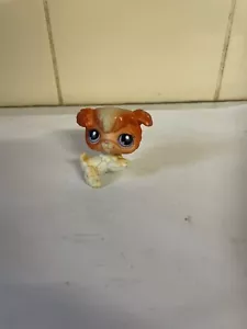 Littlest Pet Shop Barboncino Cucciolo Cane Figura LPS OTTIME CONDIZIONI - Foto 1 di 4