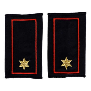 Cordones de hombro 1 estrella oro + pelaje rojo (FFW Thürigen) voluntario - Imagen 1 de 1