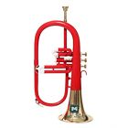 IMI Flugel Horn 3 Valve With All Accessories Including Mouthpiece & Case.