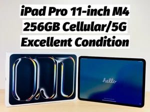 Apple iPad Pro 11” M4 2024 256GB WiFi + Cellular Space Black - Excellent - Picture 1 of 24