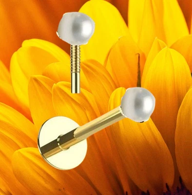 I Lippenstecker I Echt 585 Gelbgold + Echte Zuchtperle I Screw in I 46021-8 I - Bild 1 von 4