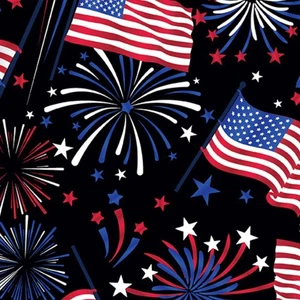 Feline Drive Fabric TRUE HERO Flag Celebration Black - Fat Quarter (18"x22") FQ - Picture 1 of 8