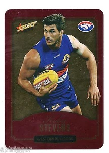 2014 Select Champions Gold (219) Koby STEVENS Western Bulldogs - Picture 1 of 1