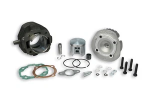 Malossi Gruppo Termico Cilindro Pistone 55 102cc Ghisa Piaggio VESPA PK HP FL 50 - Imagen 1 de 2