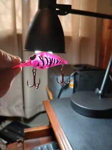 custom painted Wiggle wart crankbait - Picture 1 of 5