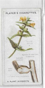 Single Card Orig world wonders struggle existence events treasure century ec4