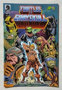 TEENAGE MUTANT NINJA TURTLES OF GRAYSKULL # 1 VARIANTE IDW HE MAN TMNT COMIC EC - Bild 1 von 2