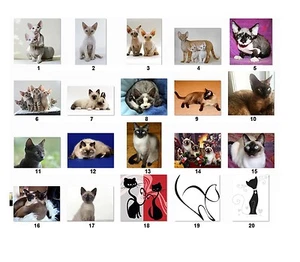 30 Personalized Address Labels Cats {Cat1} - Picture 1 of 3