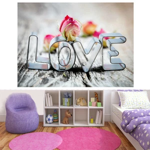 Love Flower Rose Heart Romance Bedroom 3D Effect Window Wall View Mural Art 555 - Picture 1 of 1