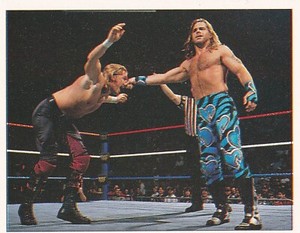 Shawn Michaels & Triple H Hunter Hearst Helmsley 1997 Panini WWF Card #25 WWE RC