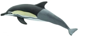 COMMON DOLPHIN 2019 Safari Ltd Dolphins TOOB 100475 Mini Figure - Picture 1 of 1