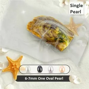 Oyster with Pearl Oval 6-7mm - Picture 1 of 5