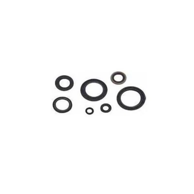 Winderosa 55128 Crankcase Oil Seal Kit - Image 1 of 3