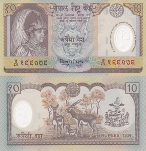 Nepal 10 Rupees ND (2002) P 45 Polymer Commemorative UNC Replacement Rare - Picture 1 of 1