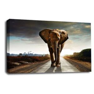 Large Elephant Wall Art Print Grey Black White Sunset Framed Canvas Picture - Picture 1 of 5