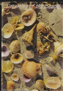 "IMPRESSIONS" SHELLS LARGE ART FLAG free ship - Picture 1 of 1