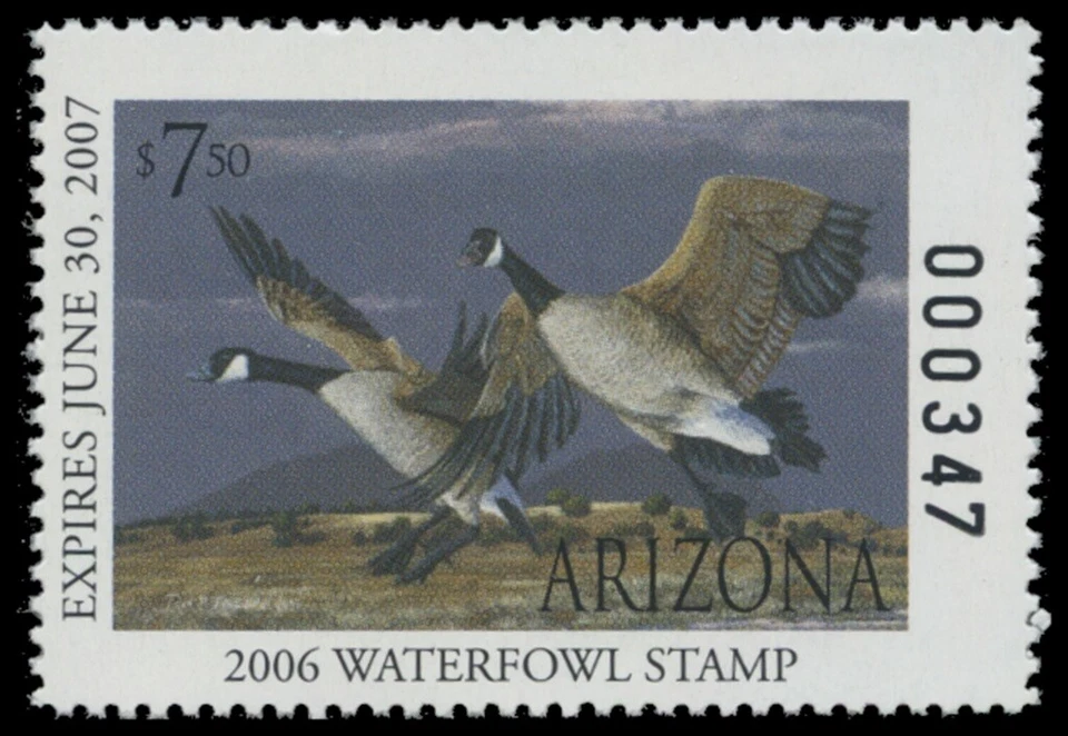 2006  Arizona State Duck Stamp Mint Never Hinged. Original Gum  - Image 1 of 1