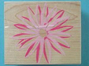Dahlia Flower Blossom, Large HERO ARTS Rubber Stamp - Picture 1 of 2