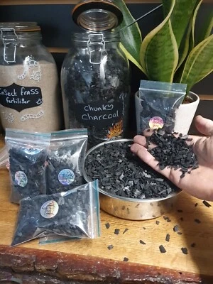 CHUNKY CHARCOAL Activated Charcoal Chunky Toxins Remover Terrarium Aroid Plant Substrate