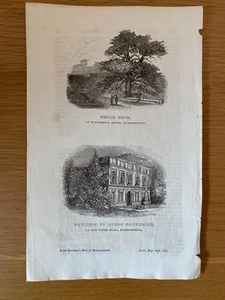 ENGRAVING 1839 CEDAR TREE BUTTERWICK HOUSE PAVILION Queen CATHERINE HAMMERSMITH - Picture 1 of 4