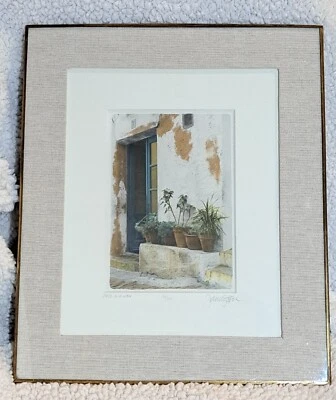 Fotografía artística firmada por Jana Epstein macetas en fila numeradas de colección marco pesado hallazgo raro Foto 1 de 4