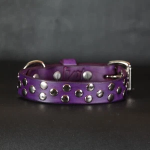 Studded Leather Dog Collar. 1 inch Wide.  Pink & Chrome - Picture 1 of 7