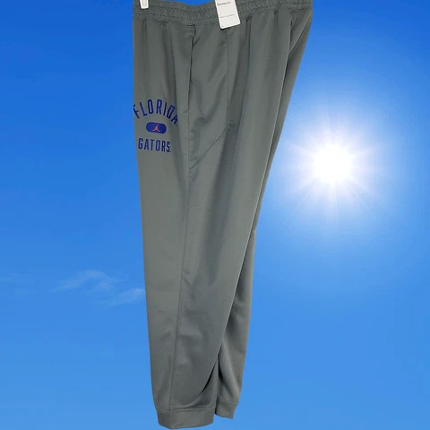 Florida Gators Nike Men's Pants Size XL Cover