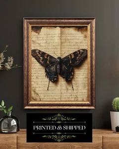 Black Moth On Aged Manuscript Gothic Insect Wall Art Print - Picture 1 of 5